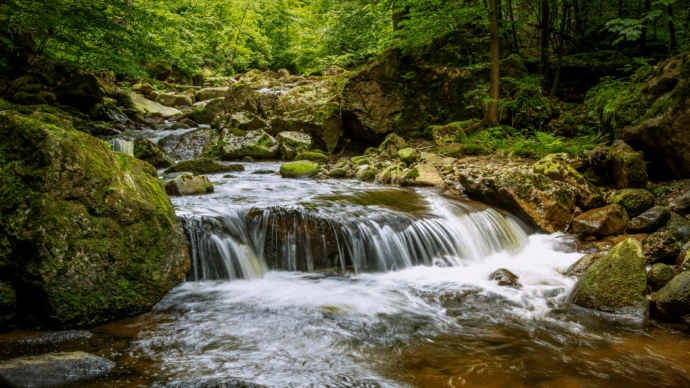 Environmental Monitoring &amp; Intelligence Platform